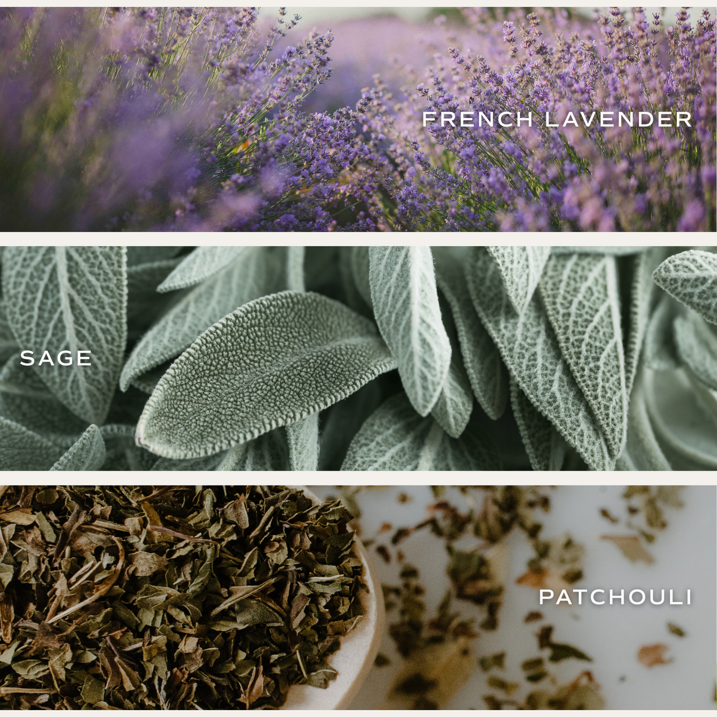 Lavender and Sage 12 oz Soy Candle